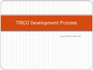 Tibco development process