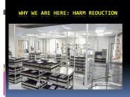 Why We Are Here: Harm Reduction