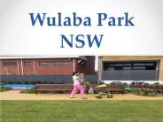 Wulaba Park NSW