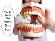 Tips to Brush Your Teeth