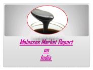 Molasses Market Report on India