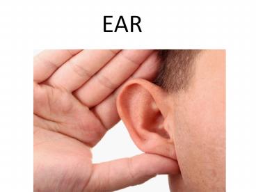 Anatomy of ear