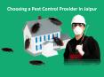 Choosing a Pest Control Provider in Jaipur PowerPoint PPT Presentation