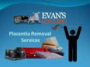 Placentia Removal Services