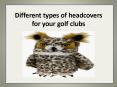 Different types of headcovers for your golf clubs PowerPoint PPT Presentation