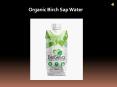 Organic Birch Sap Water PowerPoint PPT Presentation