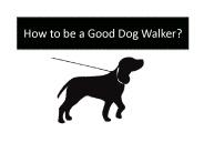 How to be a good Dog Walker?