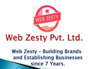 Web Design and Development Company (1)