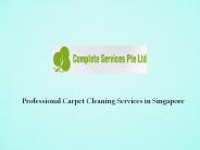 Carpet Cleaning