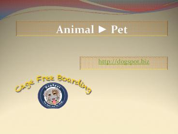 Dog Boarding San Marcos