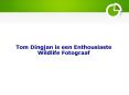 Tom Dingjan is een Enthousiaste Wildlife Fotograaf PowerPoint PPT Presentation