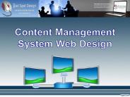 Content management system web design (1)