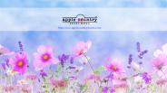 Kullu Manali Tour Packages
