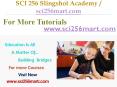 SCI 256 Slingshot Academy / sci256mart.com PowerPoint PPT Presentation