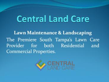 South Tampa Lawn Care| South Tampa Landscaping