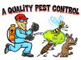 How to Choose the Best Pest Control PowerPoint PPT Presentation