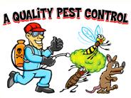 How to Choose the Best Pest Control