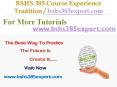 BSHS 385  help Become Exceptional  / bshs385expert.com PowerPoint PPT Presentation