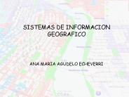 SISTEMAS DE INFORMACION GEOGRAFICO