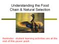 Understanding%20the%20Food%20Chain%20 PowerPoint PPT Presentation