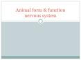 Animal form PowerPoint PPT Presentation