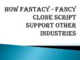 How fantacy - fancy clone script support other industries