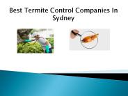 The Best Termite Control Companies In Sydney