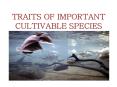 TRAITS OF IMPORTANT CULTIVABLE SPECIES PowerPoint PPT Presentation