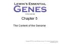 Chapter 5 The Content of the Genome PowerPoint PPT Presentation