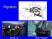 Migration