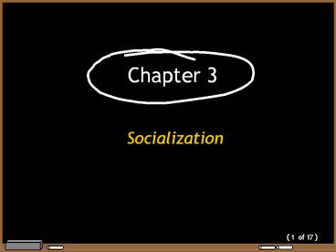 Socialization