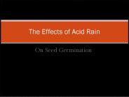 On Seed Germination