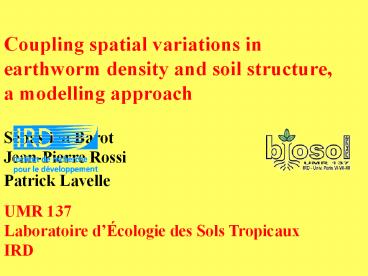 BIOLOGIE DES RACINES