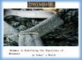 Dwimmer is Modern Fashion Technology PowerPoint PPT Presentation