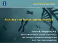 RNA-Seq and Transcriptome Analysis PowerPoint PPT Presentation