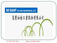 SO GIANT OIL SEAL INDUSTRIAL CO.,LTD. PowerPoint PPT Presentation