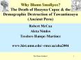 Why Blame Smallpox? The Death of Huayna Capac
