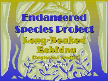 Endangered Species Project