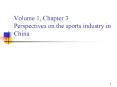 Volume 1, Chapter 3 Perspectives on the sports industry in China PowerPoint PPT Presentation
