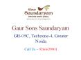 Gaursons Saundaryam Greater Noida – Investors Clinic
