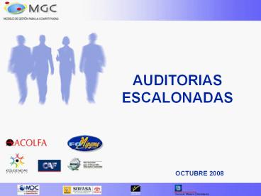 AUDITORIAS ESCALONADAS