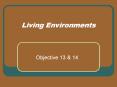 Living Environments PowerPoint PPT Presentation