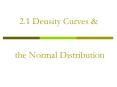 2.1 Density Curves PowerPoint PPT Presentation