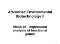 Advanced Environmental Biotechnology II PowerPoint PPT Presentation