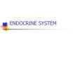 ENDOCRINE SYSTEM PowerPoint PPT Presentation