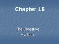 The Digestive PowerPoint PPT Presentation