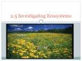2.5 Investigating Ecosystems PowerPoint PPT Presentation