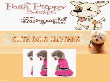 CUTE DOG CLOTHES