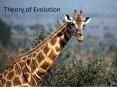 Theory of Evolution PowerPoint PPT Presentation