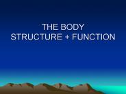 THE BODY STRUCTURE   FUNCTION